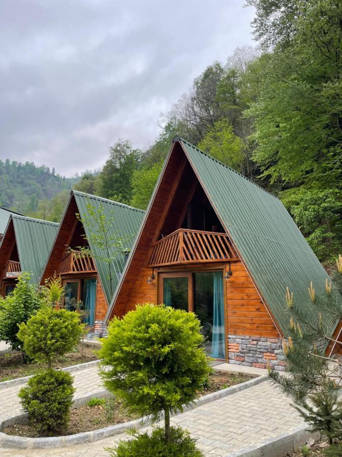 Hotel Tanura Çamlıhemşin